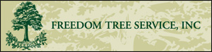 freedom_tree_service