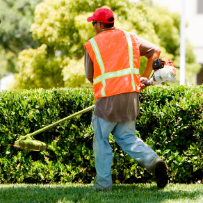 landscaping_maintenance